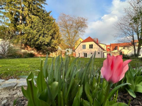 OM Yoga center Slovenska Bistrica